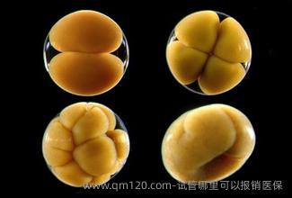 试管哪里可以报销医保