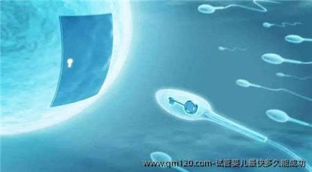 试管婴儿最快多久能成功