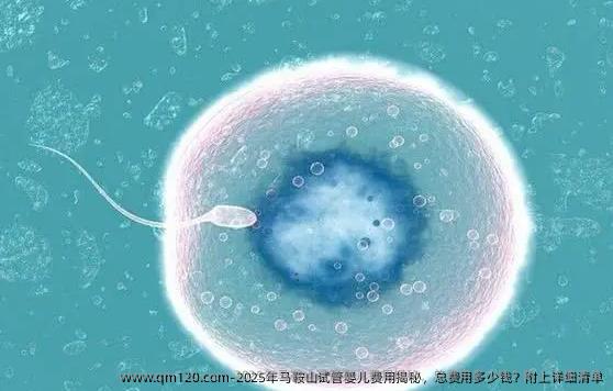 2025年马鞍山试管婴儿费用揭秘，总费用多少钱？附上详细清单