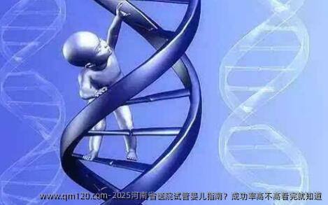 2025河南省医院试管婴儿指南？成功率高不高看完就知道