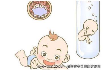 试管移植后胚胎游走图