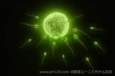 试管婴儿一二三代什么区别