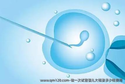 做一次试管婴儿大概要多少钱费用