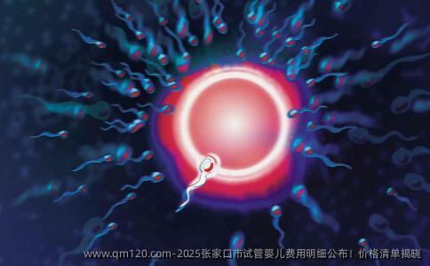 2025张家口市试管婴儿费用明细公布！价格清单揭晓