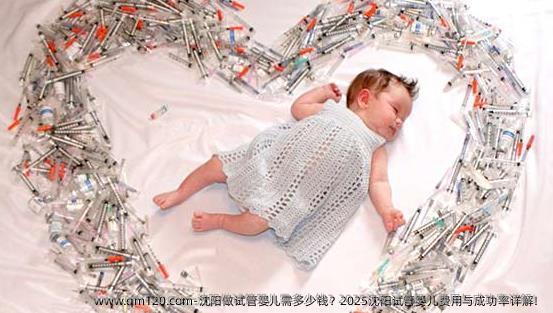 沈阳做试管婴儿需多少钱？2025沈阳试管婴儿费用与成功率详解！