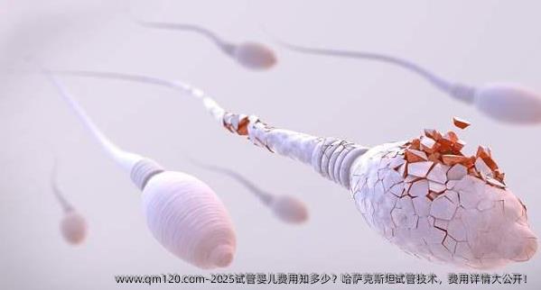 2025试管婴儿费用知多少？哈萨克斯坦试管技术，费用详情大公开！