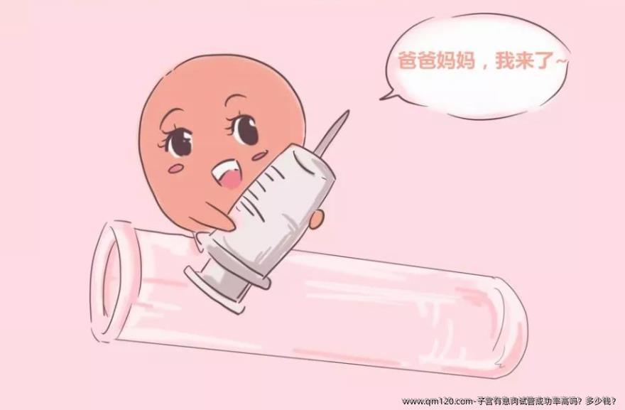 子宫有息肉试管成功率高吗？多少钱？
