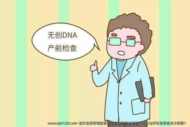 吉尔吉斯斯坦做第三代试管费用全解析：一次治疗究竟需要多少预算？