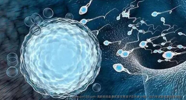 高龄妈妈赴泰试管生育孩子总共多少钱？2025年试管收费标准预估！