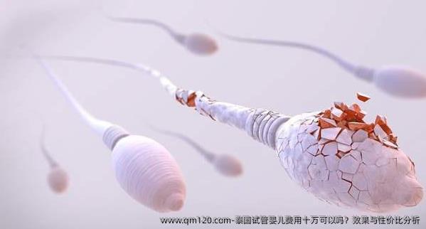 泰国试管婴儿费用十万可以吗？效果与性价比分析