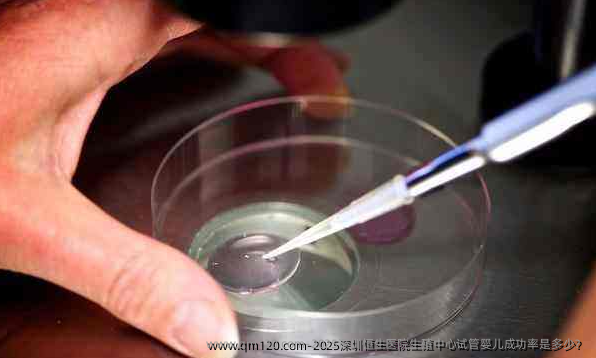 2025深圳恒生医院生殖中心试管婴儿成功率是多少？