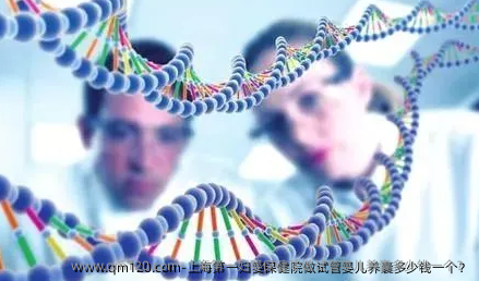 上海第一妇婴保健院做试管婴儿养囊多少钱一个？