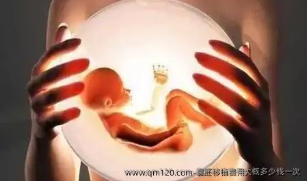 囊胚移植费用大概多少钱一次