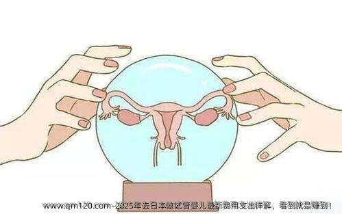 2025年去日本做试管婴儿最新费用支出详解，看到就是赚到！
