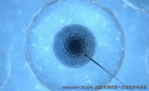 2025无锡试管初次成功率有多高