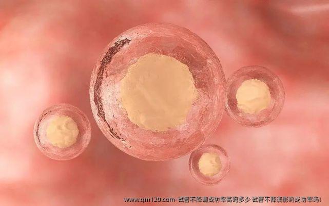 试管不降调成功率高吗多少 试管不降调影响成功率吗！