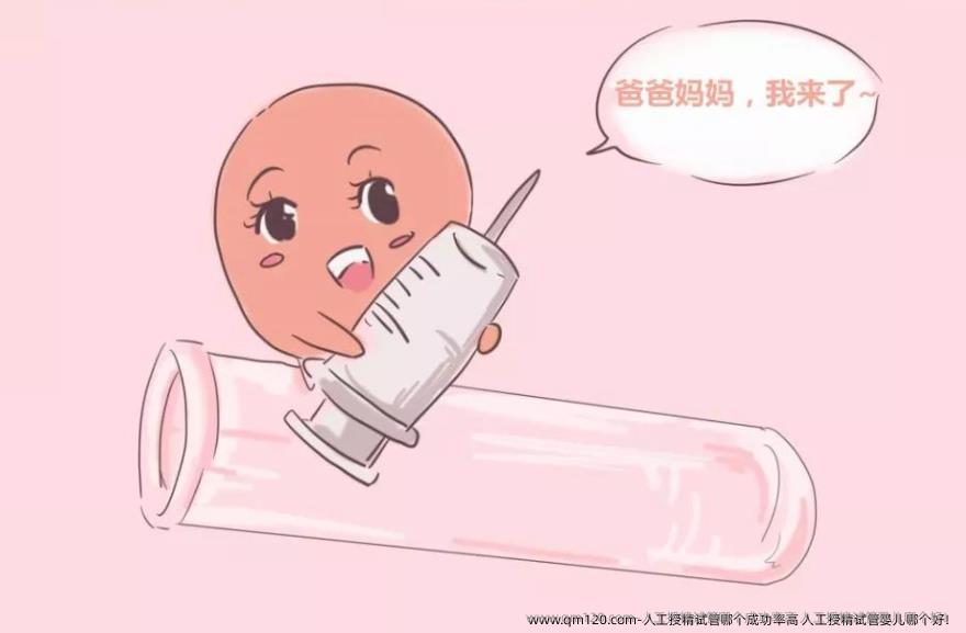 人工授精试管哪个成功率高 人工授精试管婴儿哪个好！