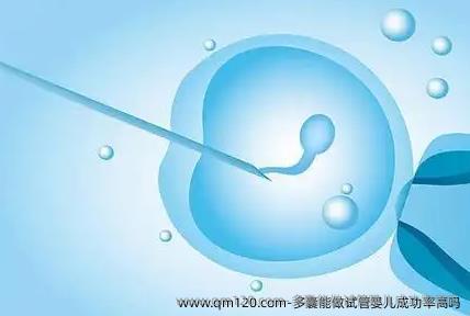 多囊能做试管婴儿成功率高吗