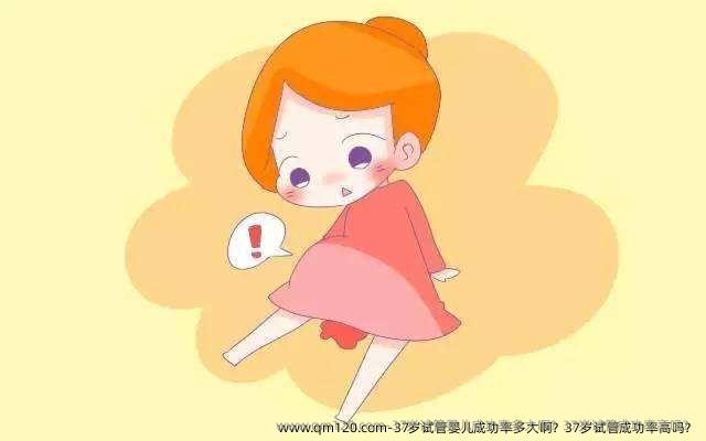 37岁试管婴儿成功率多大啊？37岁试管成功率高吗？
