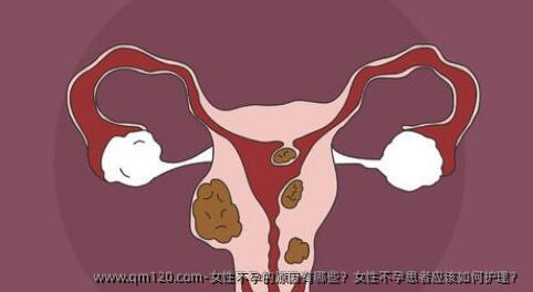 女性不孕的原因有哪些？女性不孕患者应该如何护理？