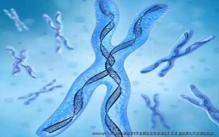 囊胚第9天出鲜血没有腹痛正不正常 囊胚第九天流褐色的血！