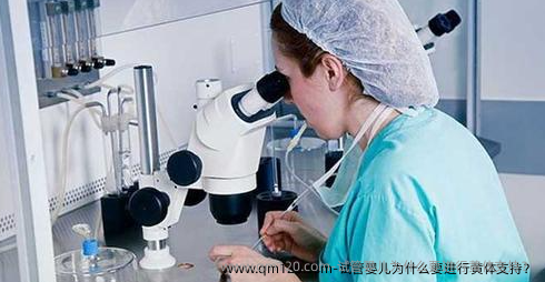 试管婴儿为什么要进行黄体支持？