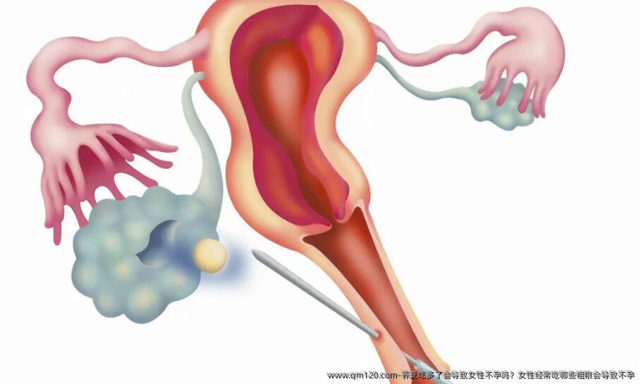 荞麦吃多了会导致女性不孕吗？女性经常吃哪些粗粮会导致不孕
