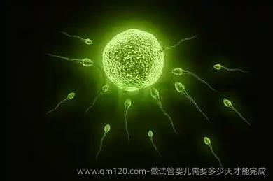 做试管婴儿需要多少天才能完成