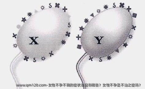 女性不孕不育的症状表现有哪些？女性不孕是不治之症吗？