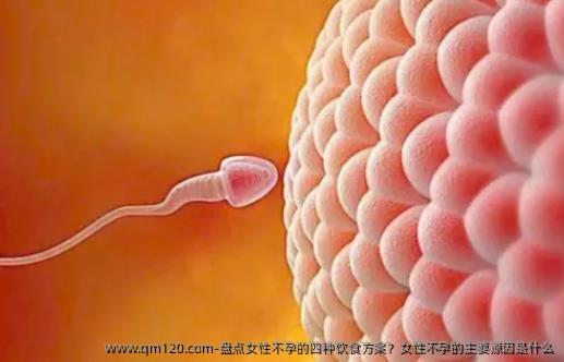 盘点女性不孕的四种饮食方案？女性不孕的主要原因是什么