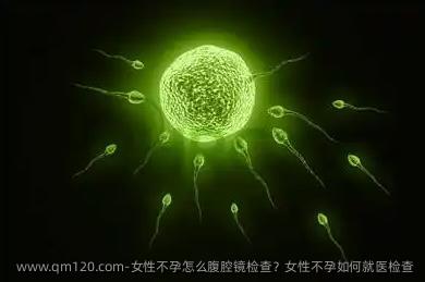 女性不孕怎么腹腔镜检查？女性不孕如何就医检查