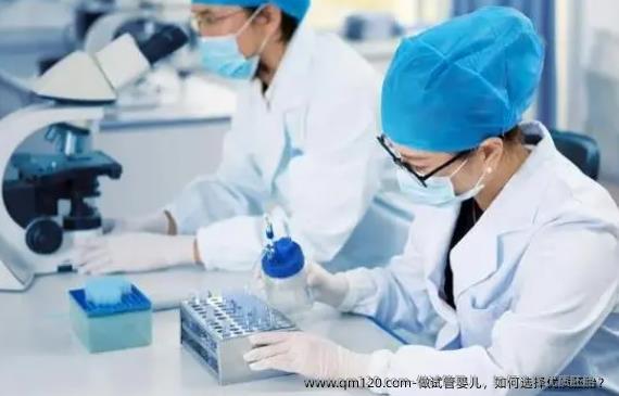 做试管婴儿，如何选择优质胚胎？