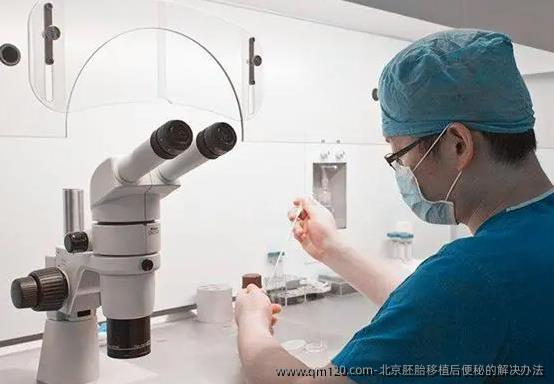 北京胚胎移植后便秘的解决办法