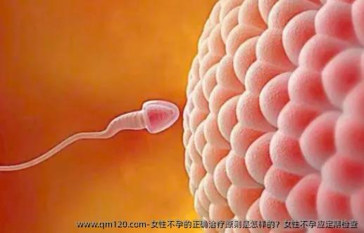 女性不孕的正确治疗原则是怎样的？女性不孕应定期检查