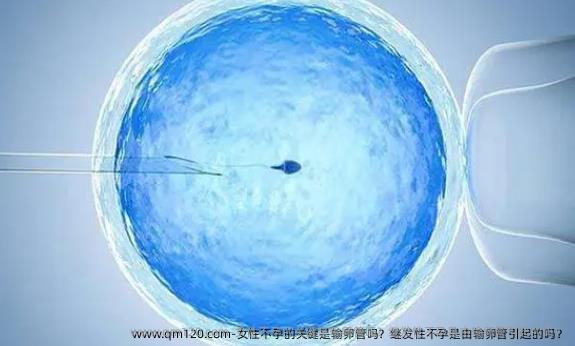 女性不孕的关键是输卵管吗？继发性不孕是由输卵管引起的吗？
