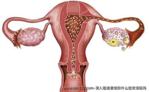 男人雄激素低有什么症状表现吗