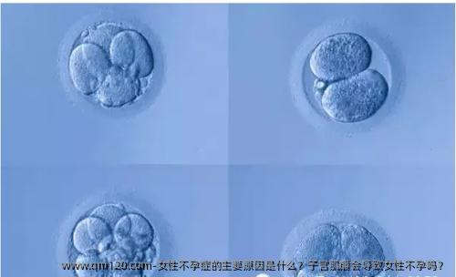 女性不孕症的主要原因是什么？子宫肌瘤会导致女性不孕吗？