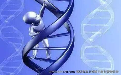 做试管婴儿移植术是否需要住院