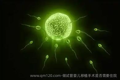 做试管婴儿移植手术是否需要住院