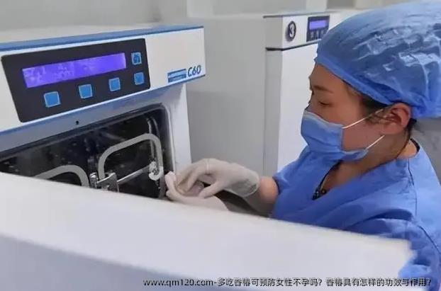 多吃香椿可预防女性不孕吗？香椿具有怎样的功效与作用？