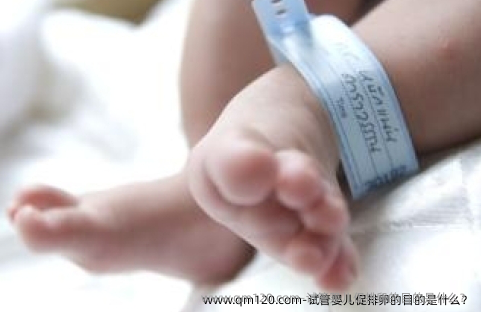 试管婴儿促排卵的目的是什么？