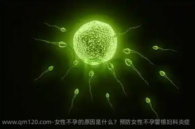 女性不孕的原因是什么？预防女性不孕警惕妇科炎症