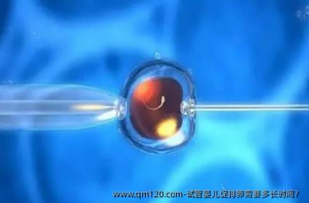 试管婴儿促排卵需要多长时间？