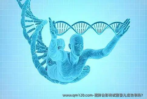 肥胖会影响试管婴儿成功率吗？