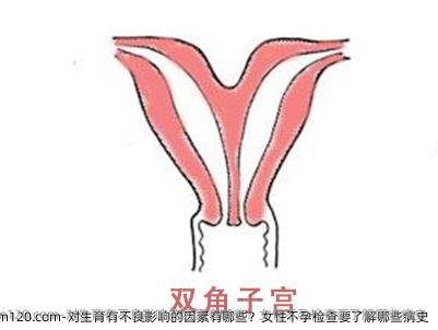 对生育有不良影响的因素有哪些？女性不孕检查要了解哪些病史