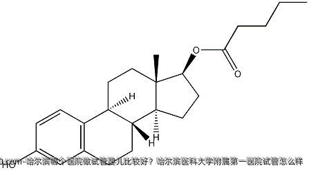 哈尔滨哪个医院做试管婴儿比较好？哈尔滨医科大学附属第一医院试管怎么样