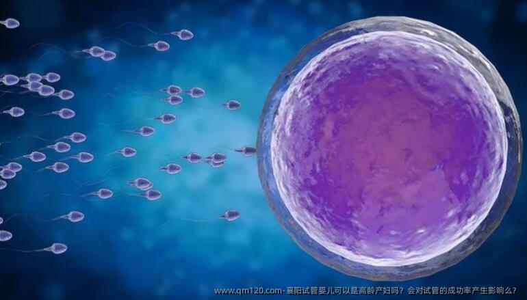 襄阳试管婴儿可以是高龄产妇吗？会对试管的成功率产生影响么？