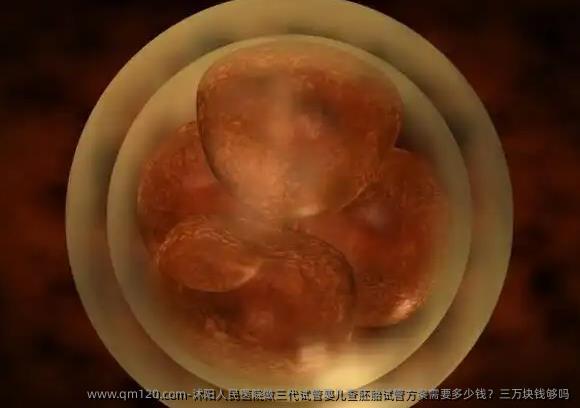 沭阳人民医院做三代试管婴儿查胚胎试管方案需要多少钱？三万块钱够吗