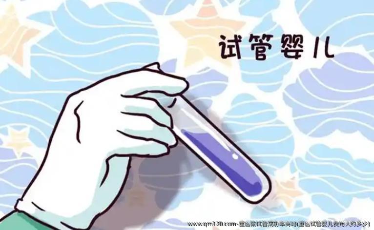 重医做试管成功率高吗(重医试管婴儿费用大约多少)