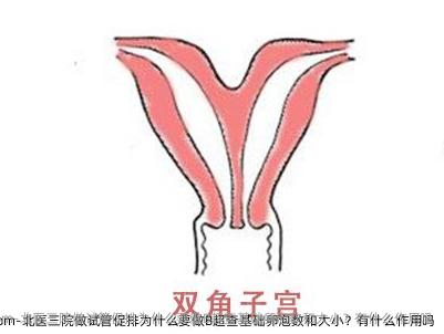 北医三院做试管促排为什么要做B超查基础卵泡数和大小？有什么作用吗